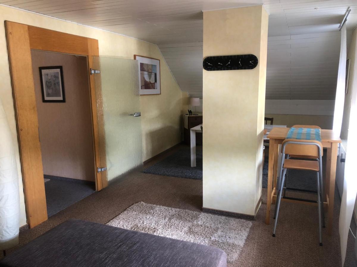 Ironico Homestay 4 Schlafzimmer Ferienwohnung 100 M2 Nahe Bostalsee Eisen  Екстериор снимка